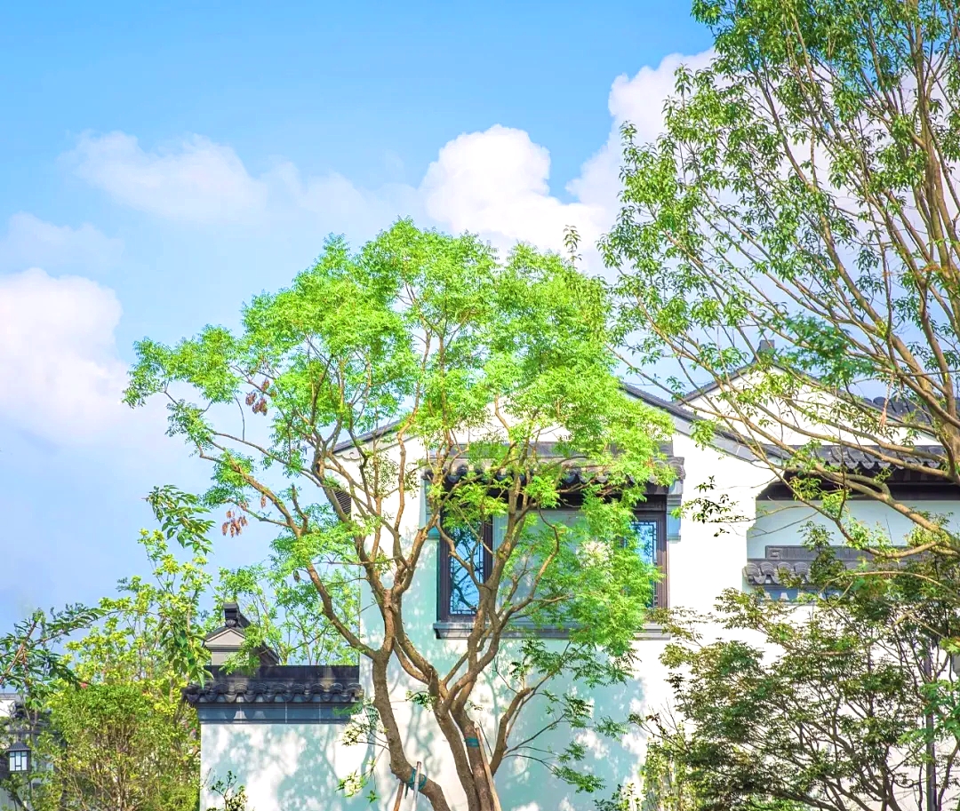 仿古断桥铝中式门窗